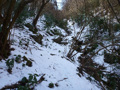 雪の登山道1