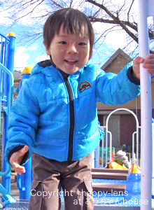 koji567.jpg