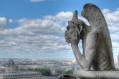 11 Paris - Notre Dame Gargoyle