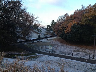 小幡緑地・雪1