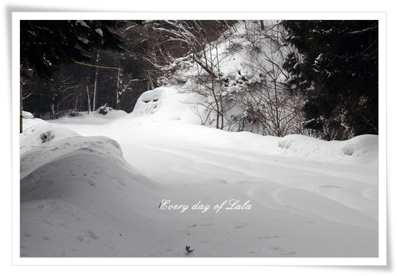 ララと雪景色へ201301