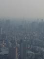スカイツリーから東京タワー方向を見る