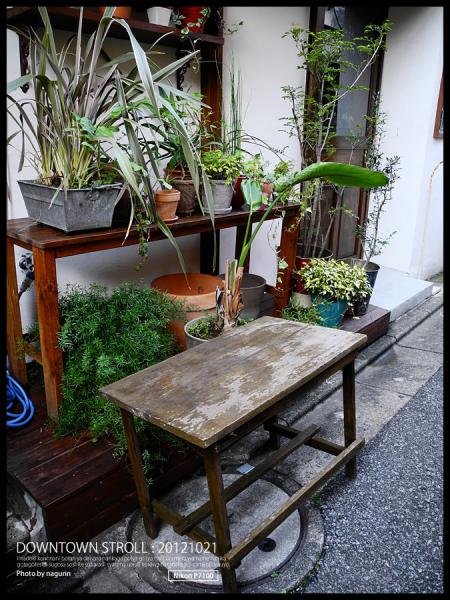 DSCN1985.jpg