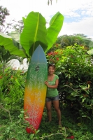 costarica201412