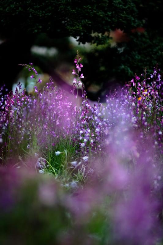 20130407_000.jpg