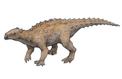 sukeridosaurusu.jpg