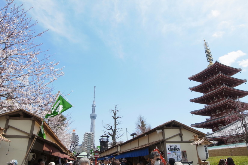 【PhotoTable】桜と東京スカイツリー