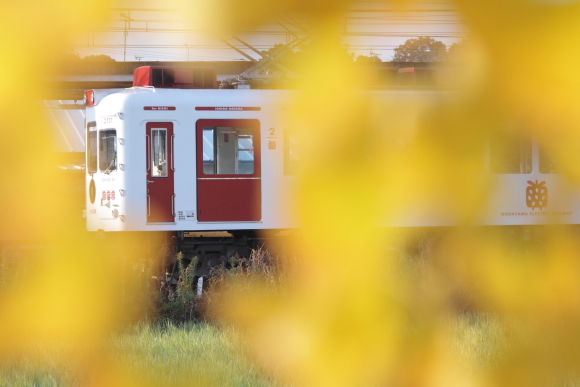 2014/11/23 和歌山電鐵貴志川線 伊太祈曽