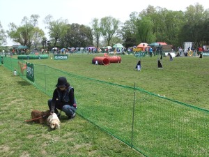 DSCF7785.jpg