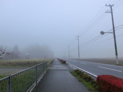 国道も霧の中