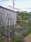 アーチ20120803