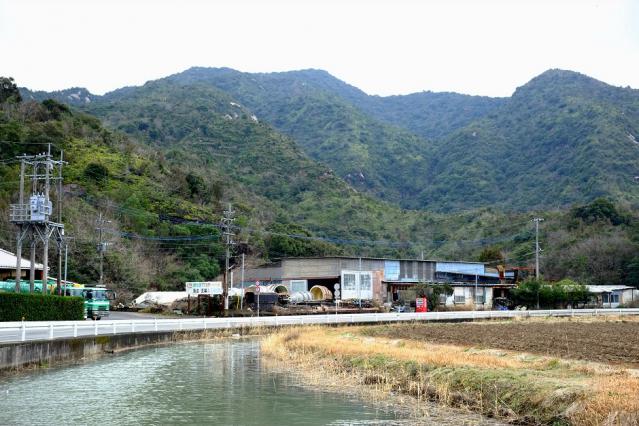 13年2月6日 (3)