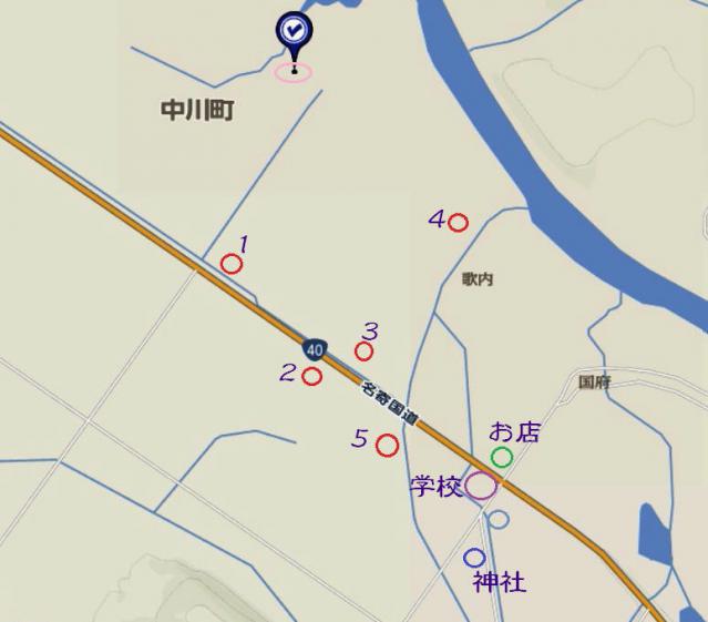 545432.jpg
