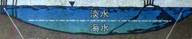 DSCFmmppgs8190.jpg