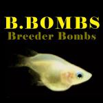 B.BOMBS