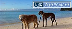 人気ブログランキング