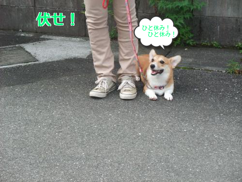 20120814012040b83.png