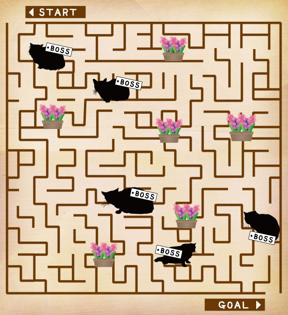 猫のゲーム「迷路」