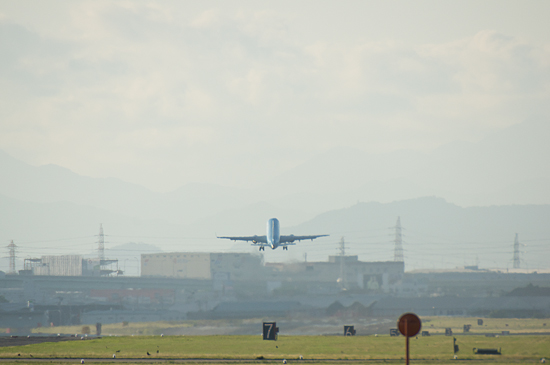名古屋空港-5