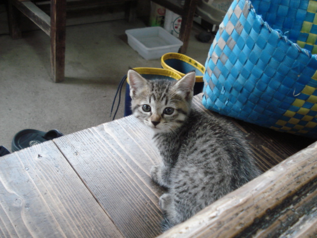 20121091_1.jpg