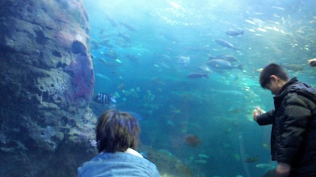 江ノ島水族館