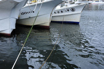blog Miyagi, Kesennuma, Fishing Boat_DSC0110-10.21.11 (2)