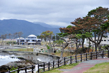 blog Miyagi, Kesennuma, Iwaisaki_DSC0125-10.21.11 (2)